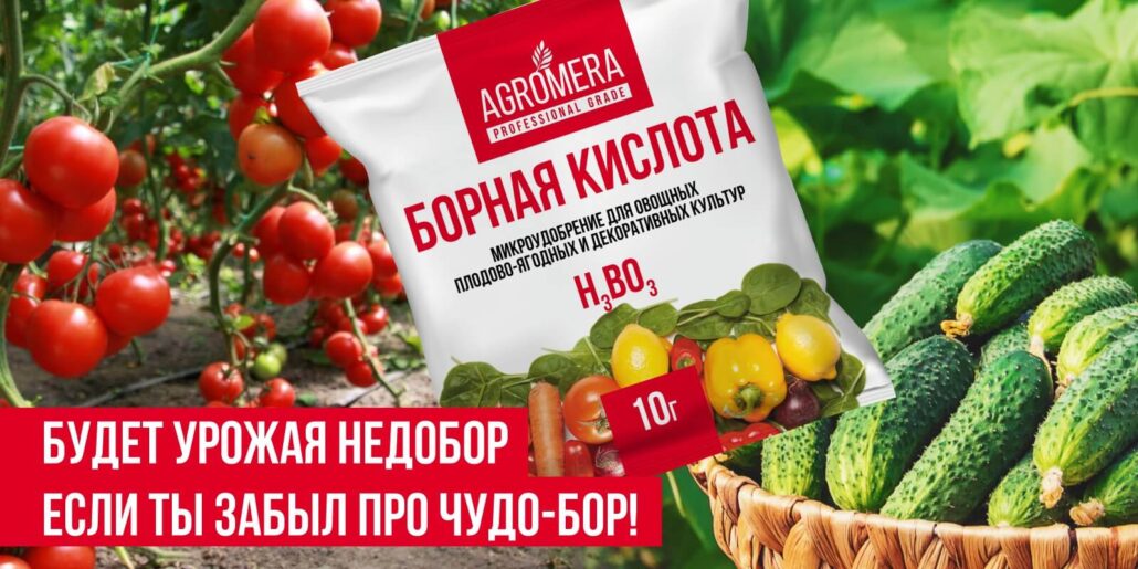 удобрение борной кислотой томатов