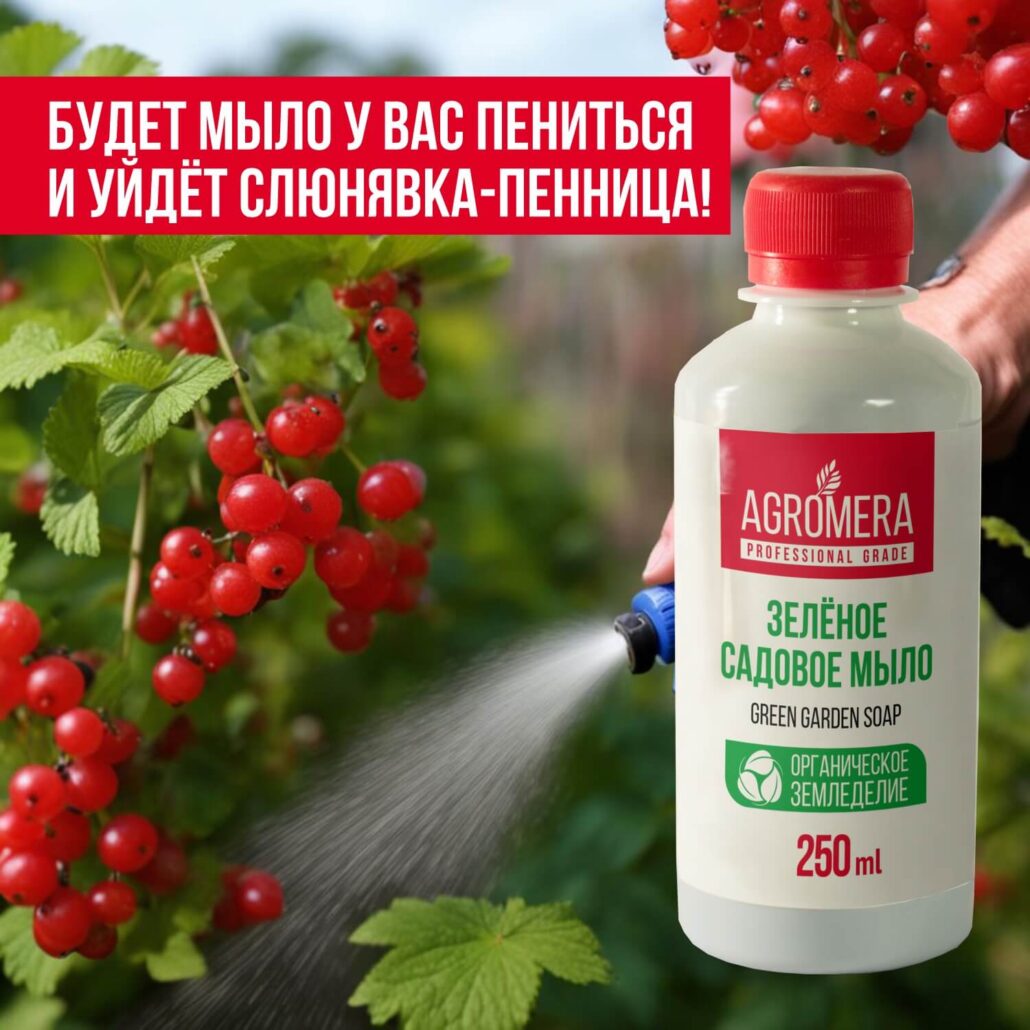 зелёное мыло состав