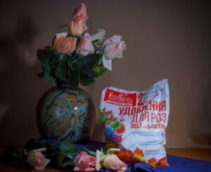 Какие удобрения нужны для роз