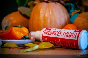 Борьба с вредителями: натуральные методы